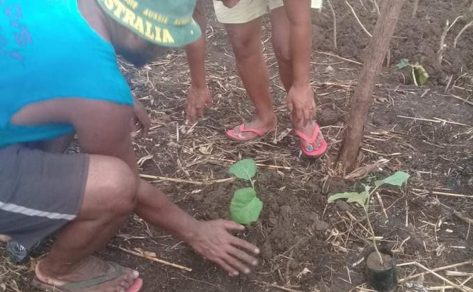 POSITIVELY ACT, PLANT TODAY