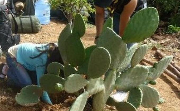 apoyo al Campo Escuela Scout de Arani