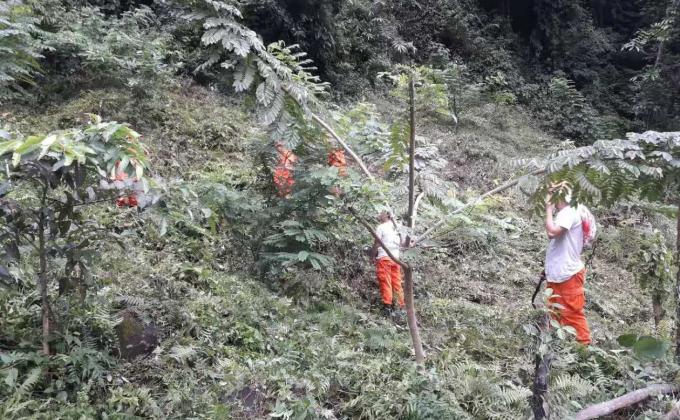 Bush Clearing at Plantation Site, Samdrup Jongkhar