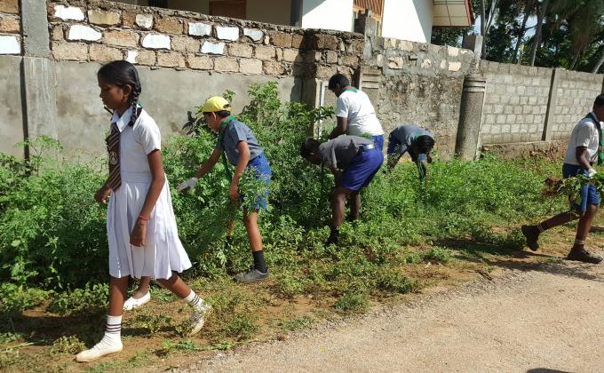 weed removing from school surrounding area
