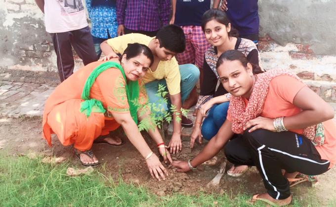 Tree Plantation 