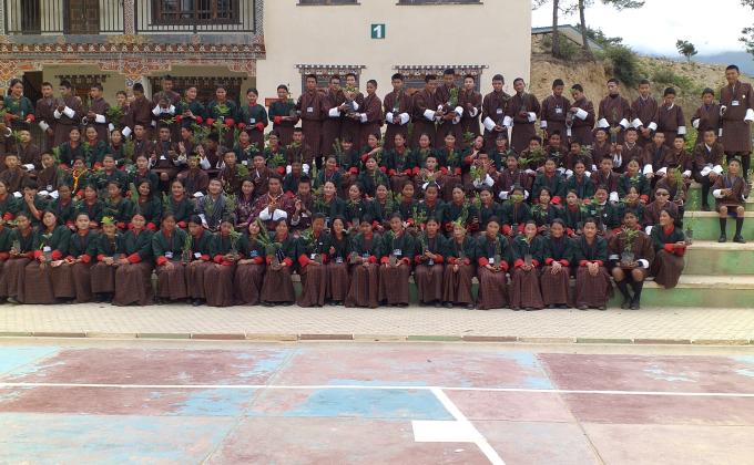 Plantation and Scout area adoption for marking the World Environment Day