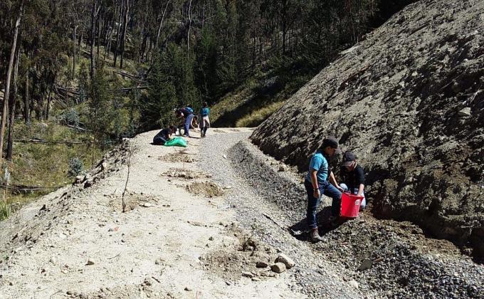 Reforestacion Autopista La Paz- El Alto