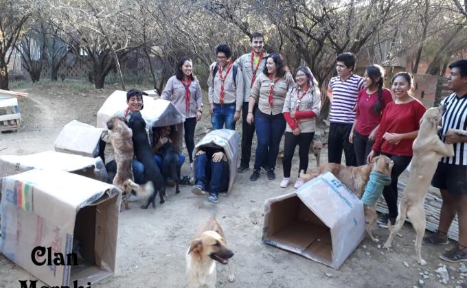 Un techo para cuatro patas