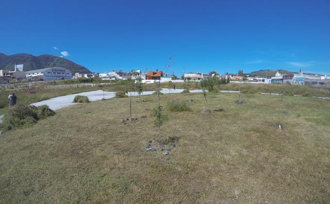 Limpieza del parque