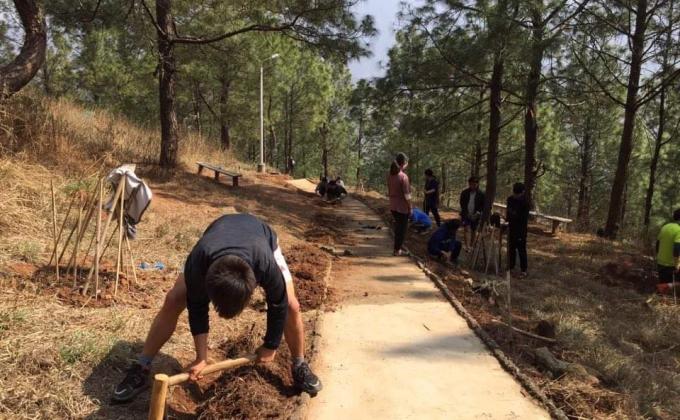 Greener the environment, healthier the earth