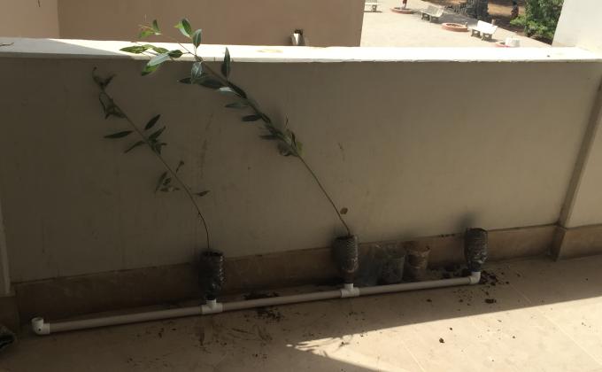 Peaceful action for a better tomorrow 