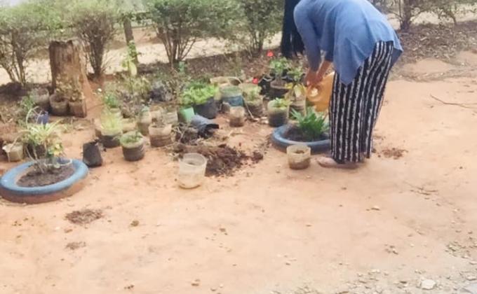Flower Plantation