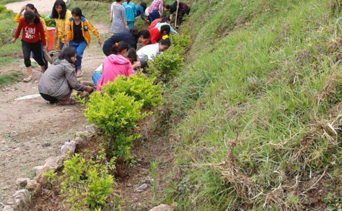 Construction of footpath and flower garden 