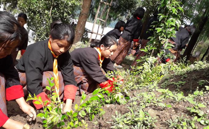 Celebration of International Peace Day