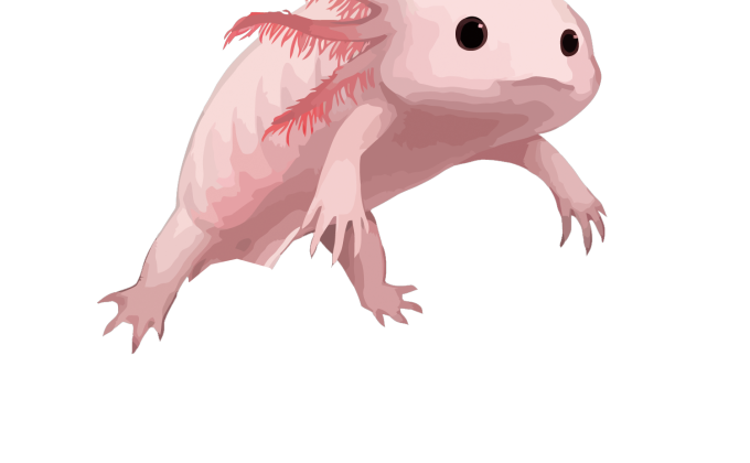 Experiencias al aire libre