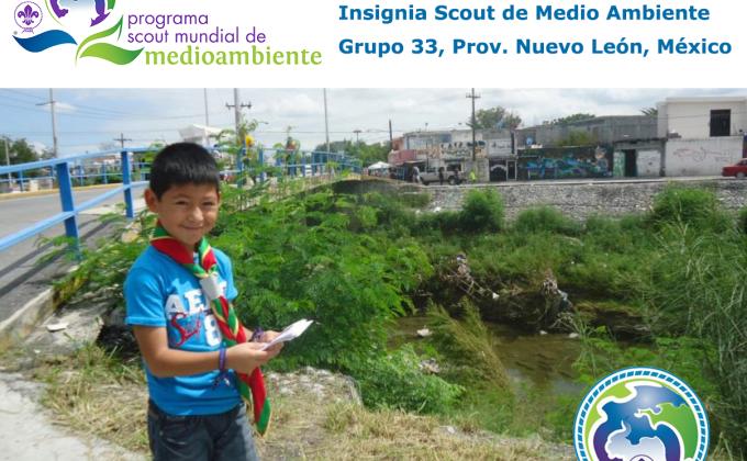 Insignia Scout Mundial de Medio Ambiente