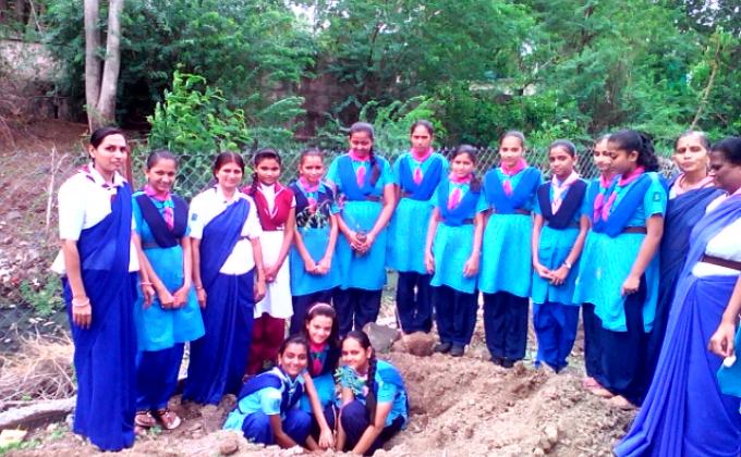 Tree plantation