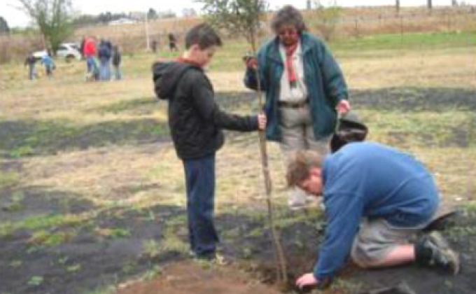 Arrowe Park indigenous garden and tree planting