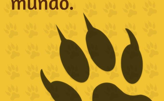 Aires de Conciencia - Português