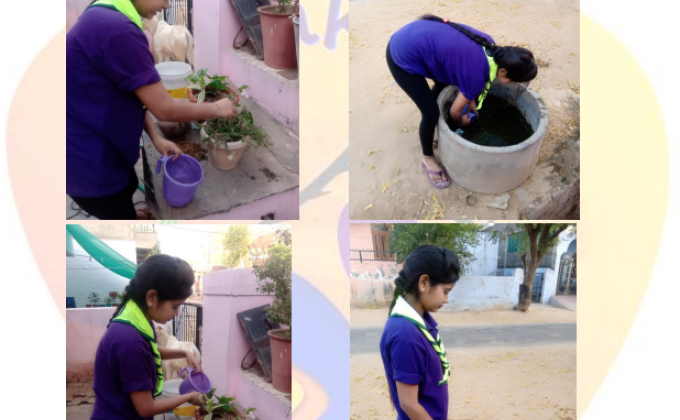 ENVIROMENT & SUSTAINBILITY #GO ORGANIC