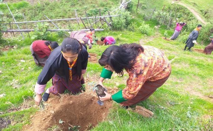 Social Forestry Day