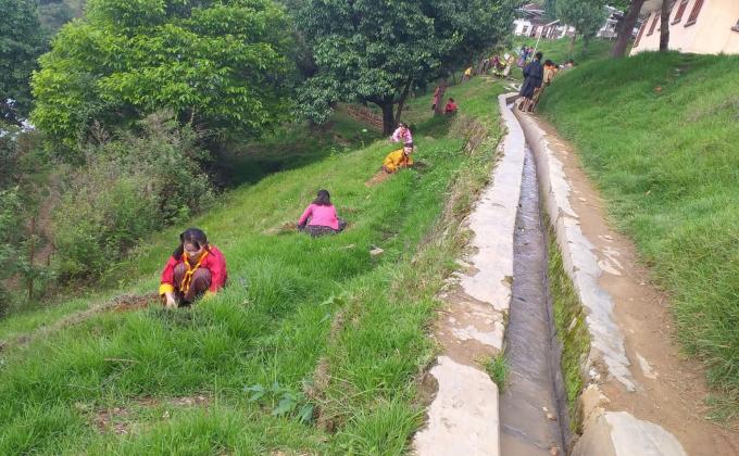 Bhutan Green Week Celebration