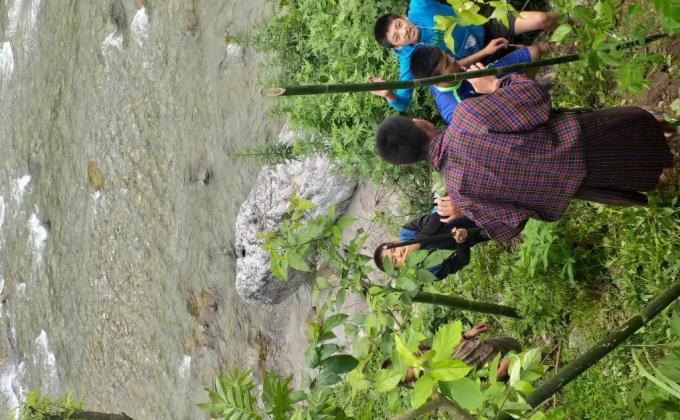 Planting Bamboo Saplings along the Nyera Ama Chhu