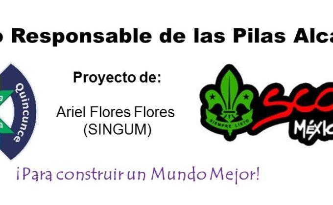 Manejo Responsable de Pilas Alcalinas