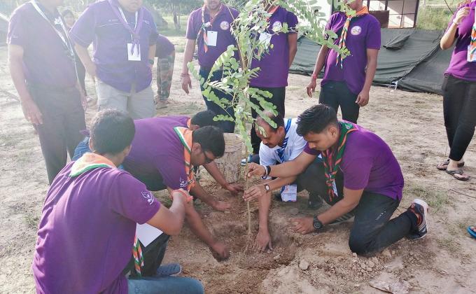 Tree Plantation 