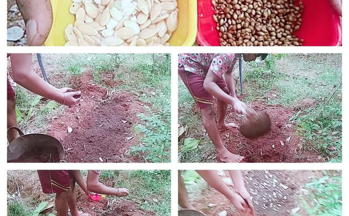 CHALLENGE B :- ENVIRONMENT & SUBSTAINABLITY :-Challenge 4-# Goorganic 