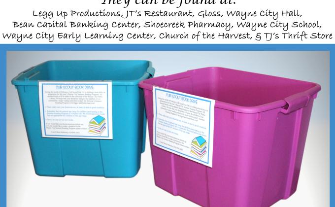 Wayne City Cub Scouts Hold Book Drive