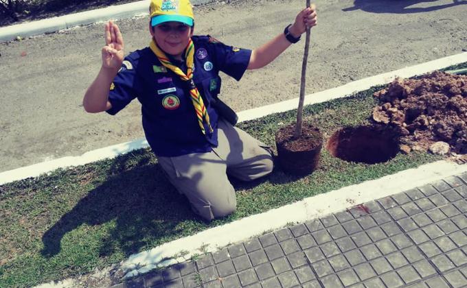 Tree for The World - GEPPB