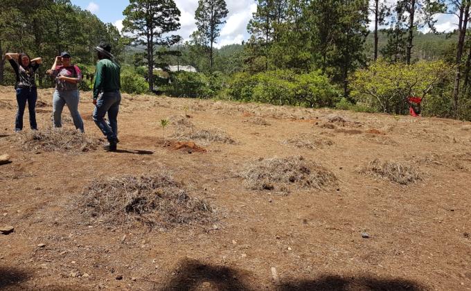 Plantando un bosque frutal en Campo Escuela Scout, Valle de Ángeles 