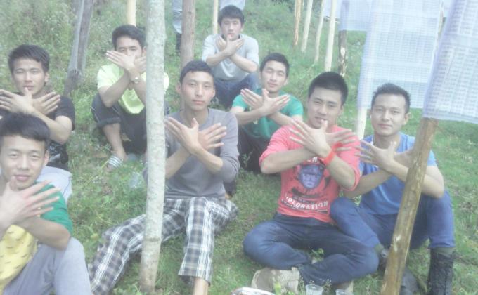 Letting the peace cherished every where