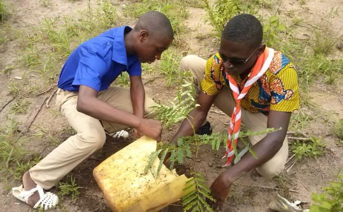 Trees for the World/ One scout One tree in Ivory Coast