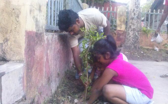 Plantation on World Environment Day