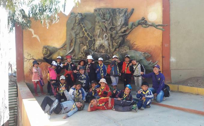 ARBOLES DAN VIDA