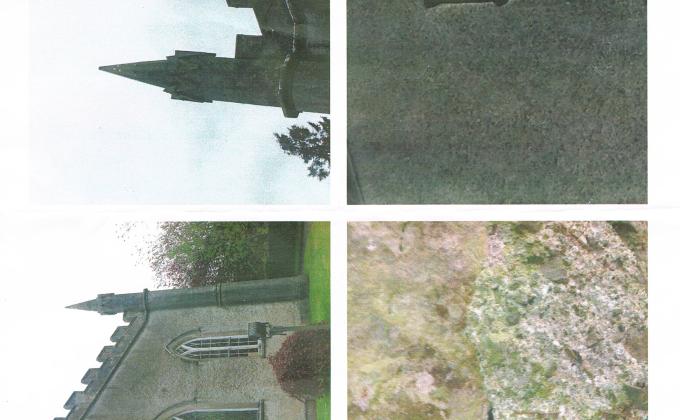 Bats of our local area
