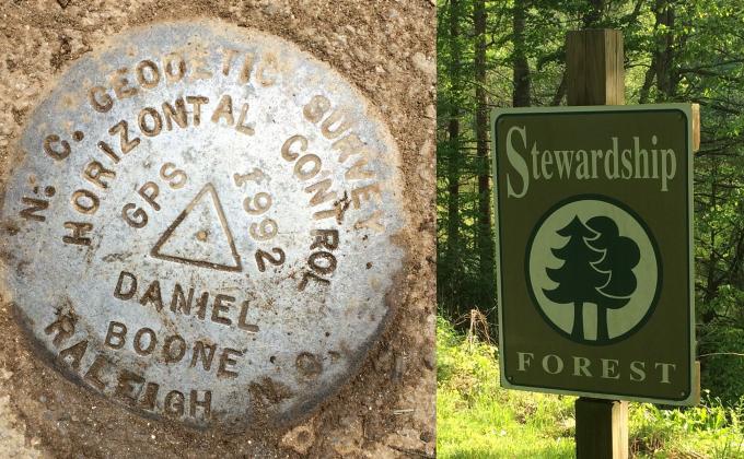 Camp Daniel Boone Conservation Project / Trees for the World project