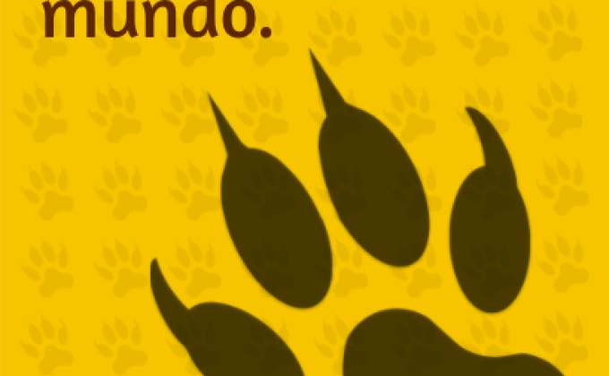 Aires de Conciencia