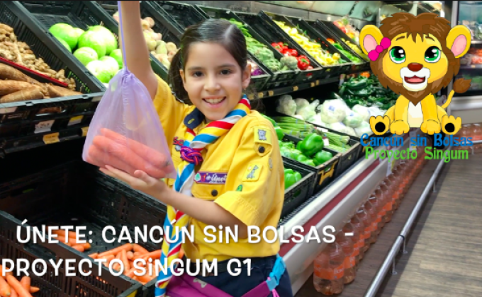 Cancún Sin Bolsas - Proyecto Singum G1