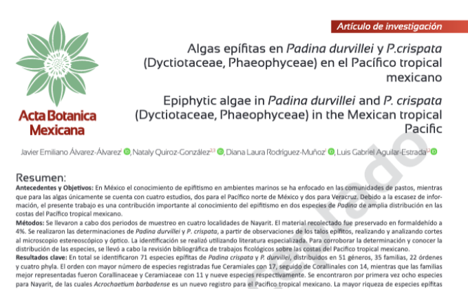 Proyecto de Creación de Artículo Científico