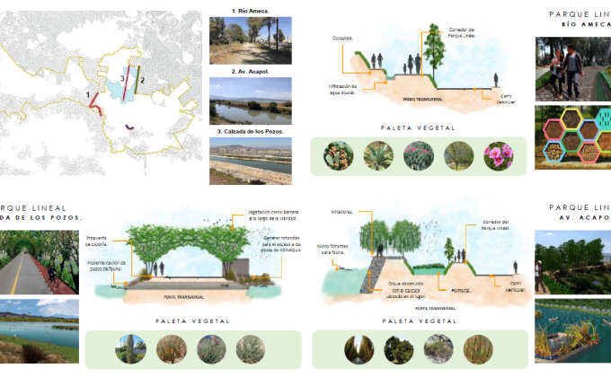 "El intercambio socio-cultural con los asentamientos iregulares de la CDMX"