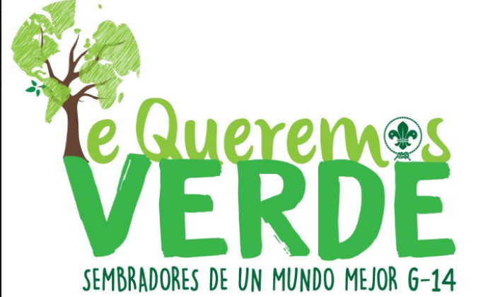 reforestación, playatón, plogging y el amor al medio ambiente 