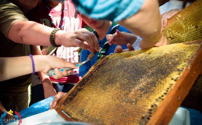 Youth Entrepreneurship and Community Involvement in Rural Hunedoara