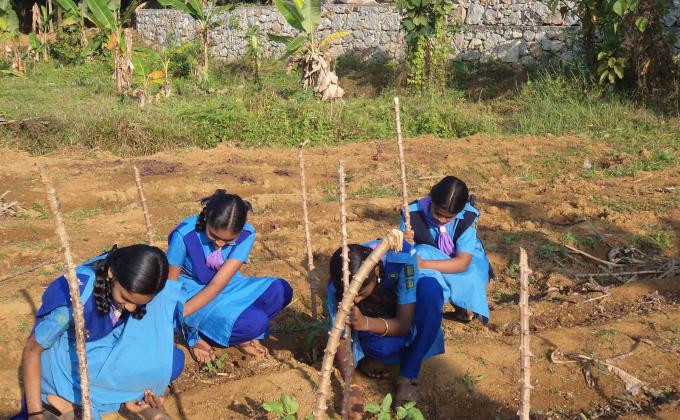 Community Developement