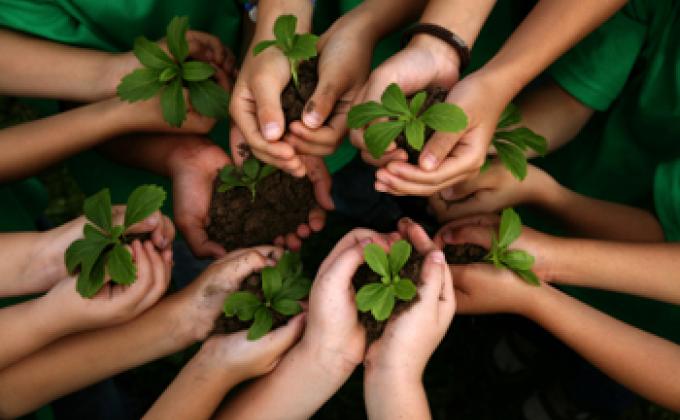 #_WPD........ WORLD PLANTATION DAY 2017