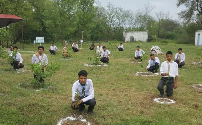 More Clean and More Green Pakistan