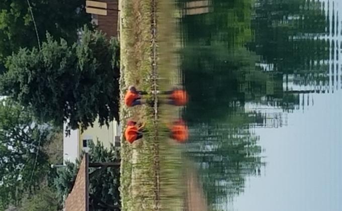 Pond/Park Clean Up