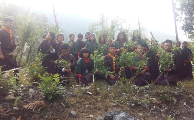 Marijuana uprooting program
