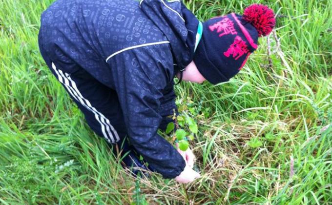 Community Tree Planting