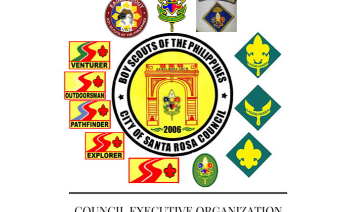 Council Executive Organization
