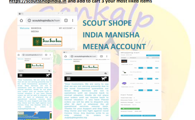 DIGITAL SCOUTING GUIDING # BSG WEBSITE