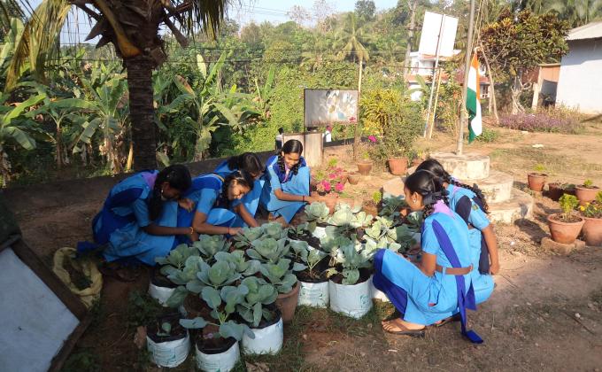 COMMUNITY DEVELOPMENT AND ROAD SAFETY